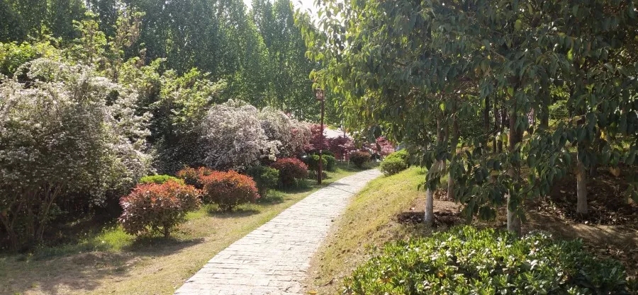 我最怀念的路——郑师之路