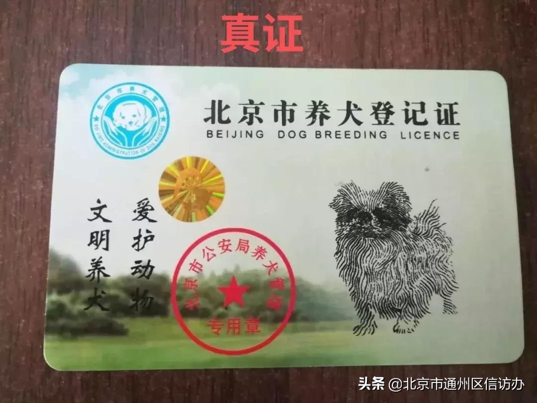 网上办犬证需要钱吗,办狗证中介北京