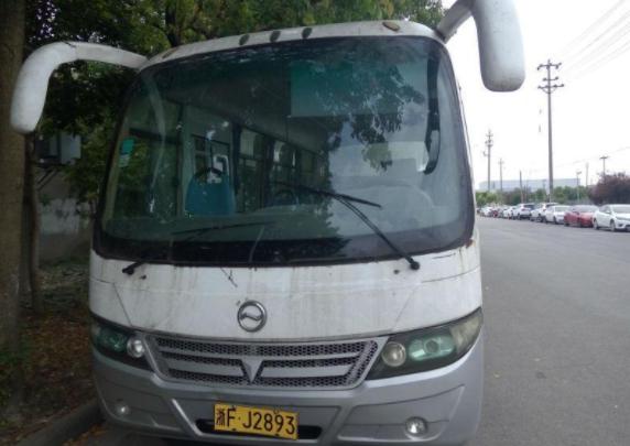 扬子汽车属于哪个品牌,扬子汽车标志