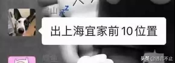 优衣库联名utt恤,优衣库联名彼得兔短袖