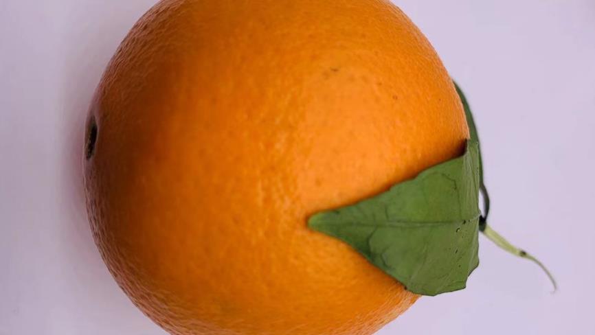 如何挑选质量好的柑橘,柑橘新品种层出不穷如何选择