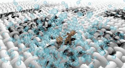 发黄的白色羽绒服怎样清洗,怎么清洗发黄的白色羽绒服