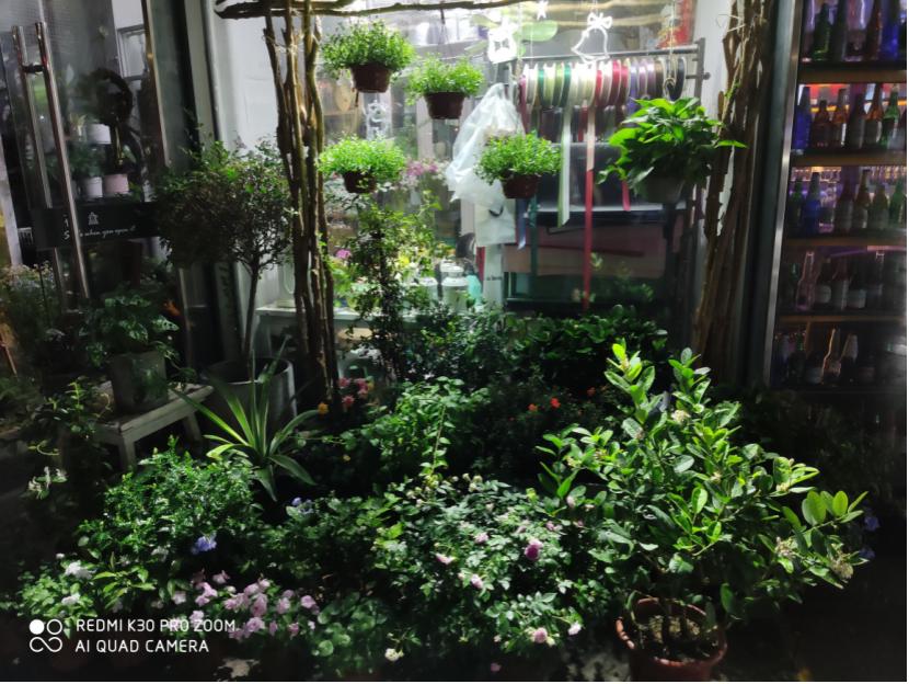 红米k30pro和红米k30pro变焦版,红米k30pro使用体验报告