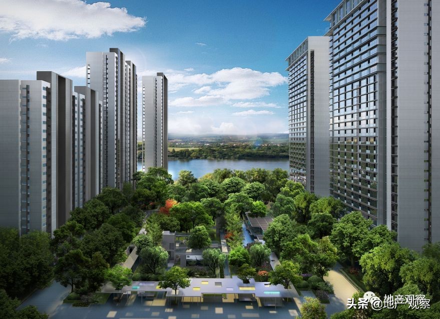 这个应该全国推广的品质项目