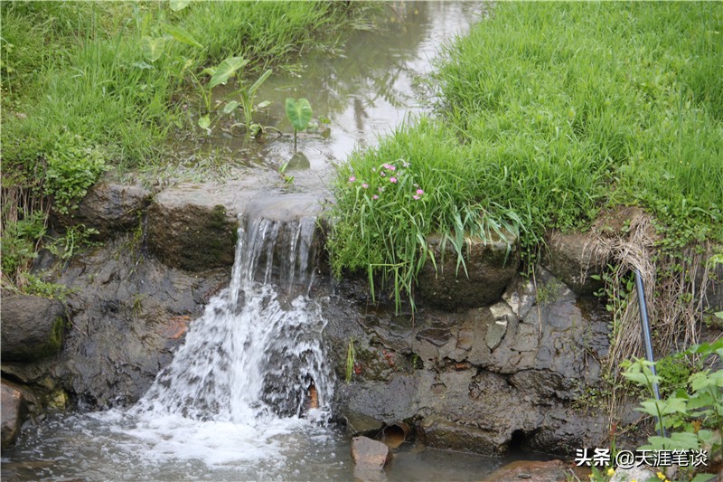 走进查济,查济古镇门票32元