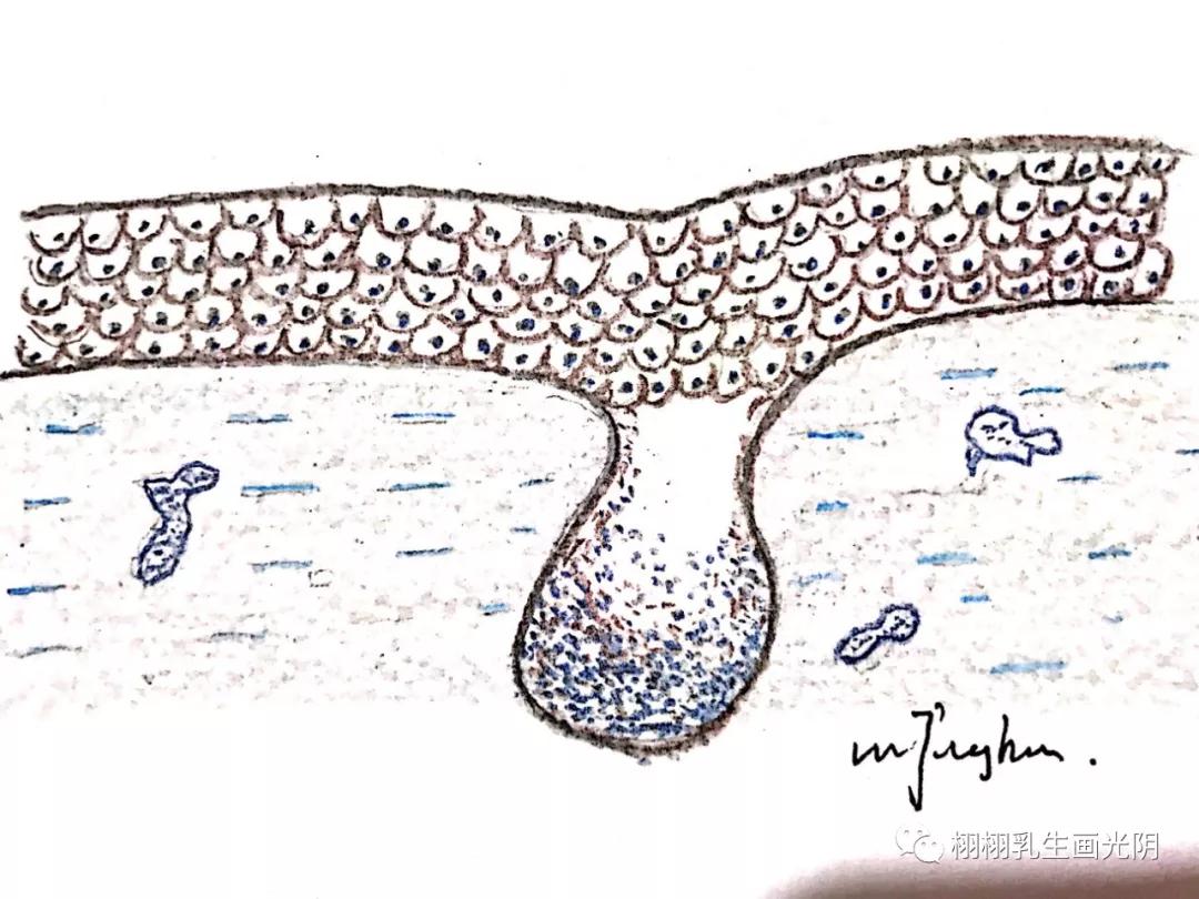 最贵的房子内部图片,最贵的房子内部