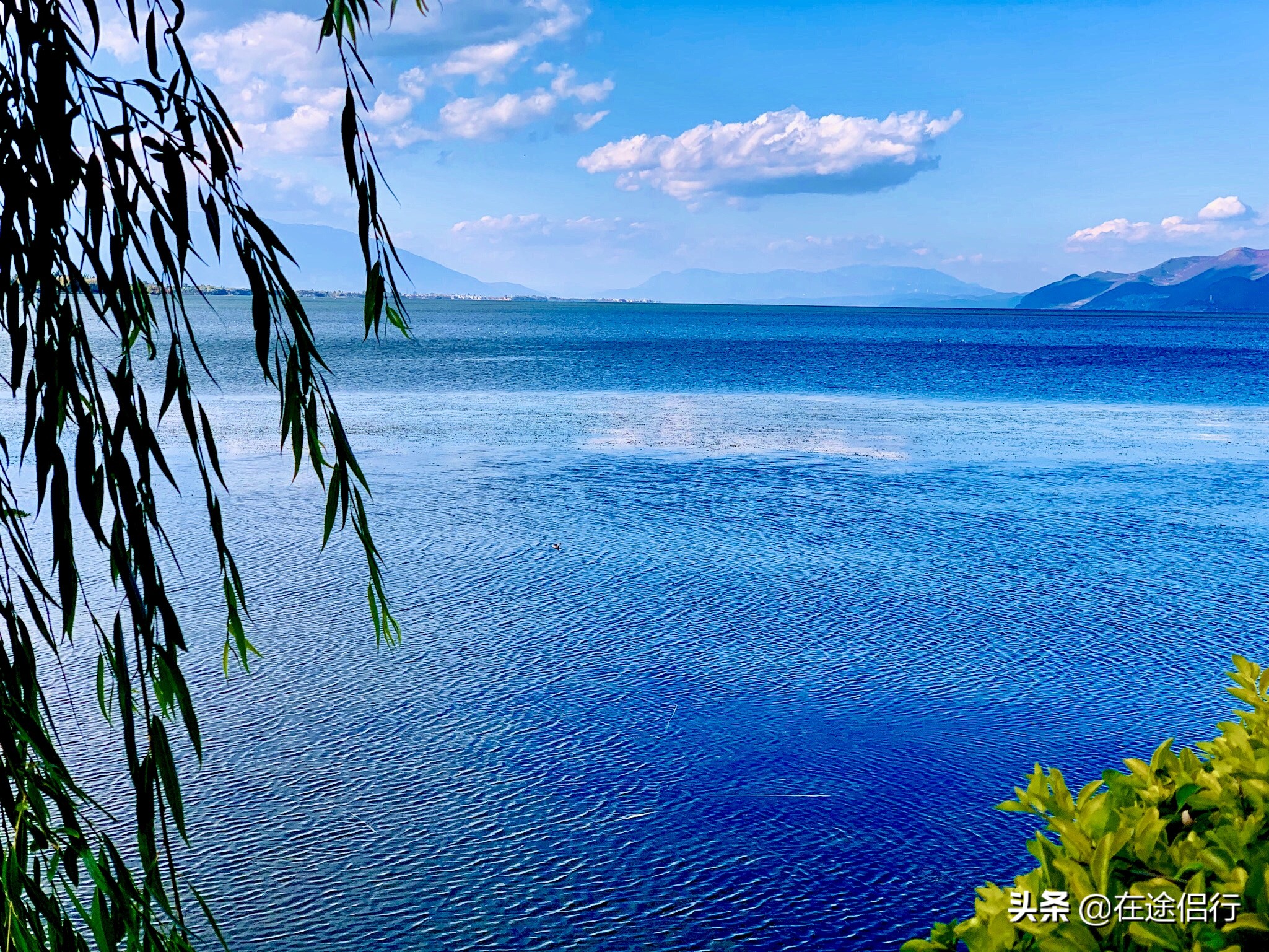 大理洱海恢复了吗,2019年洱海整治好了吗