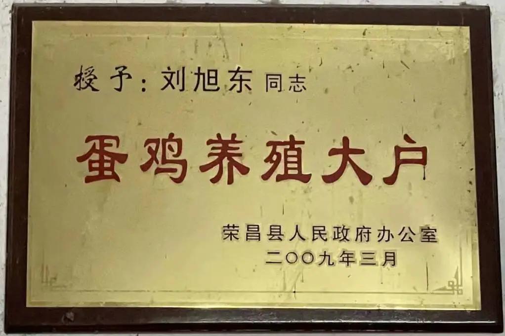 蛋鸡行业的发展方向,蛋鸡行业的未来发展方向