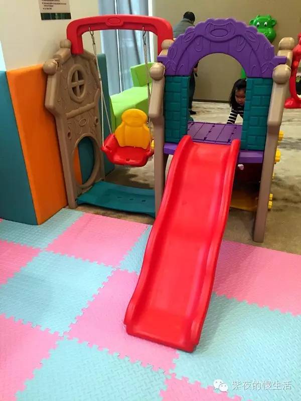 苏州带宠物去的古镇,苏州小众宠物乐园推荐