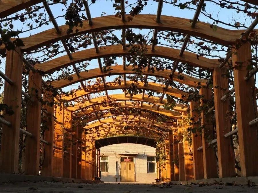 辽宁省内大学排名沈阳医学院,辽宁省沈阳医学院前景