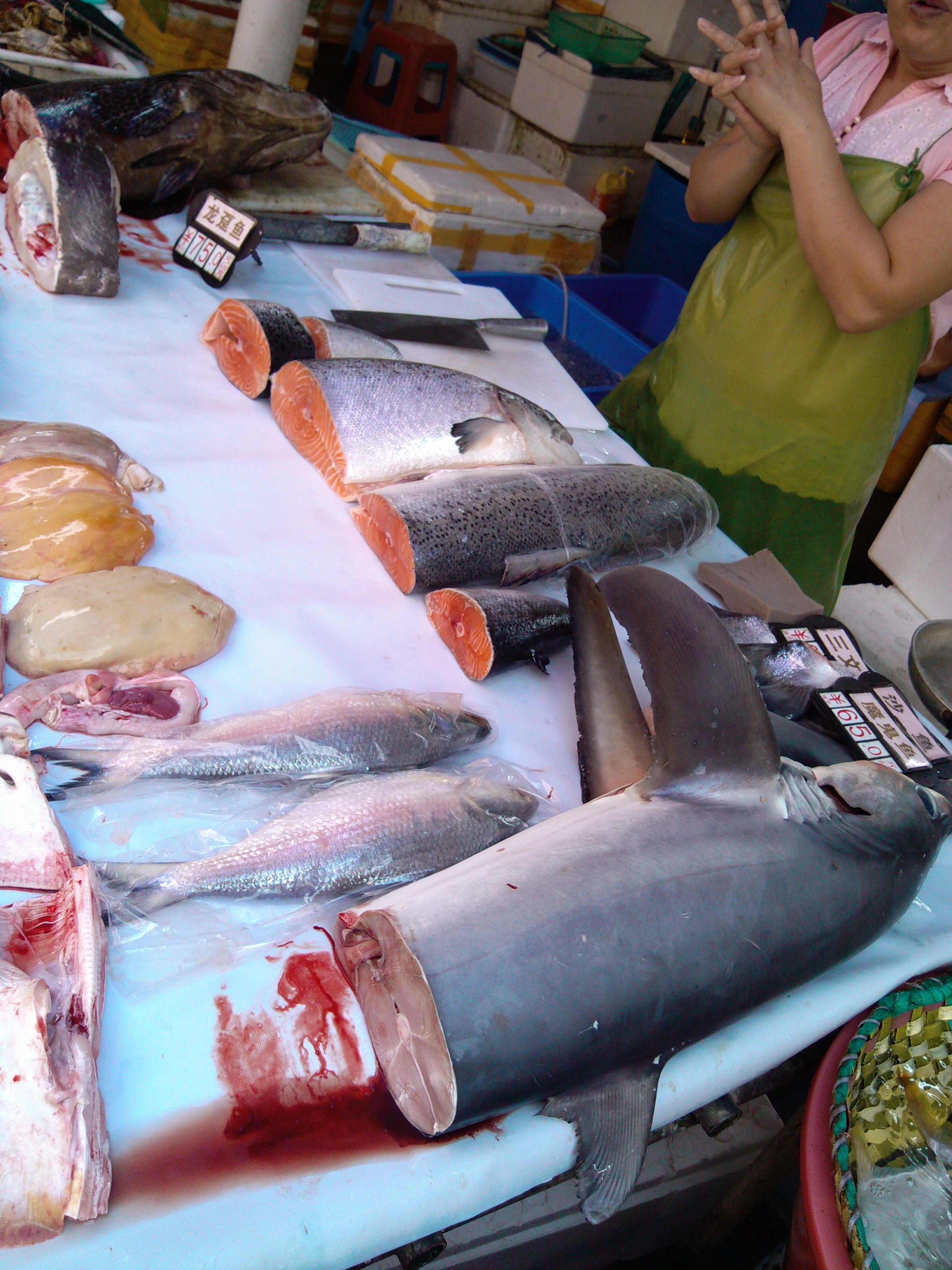 珠海海鲜游,珠海澳门环岛游时间表