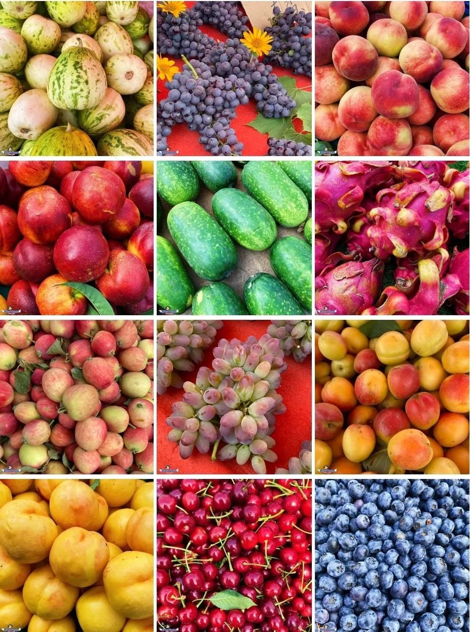 沈阳值得去的10个地方,沈阳最值得去的10个地方