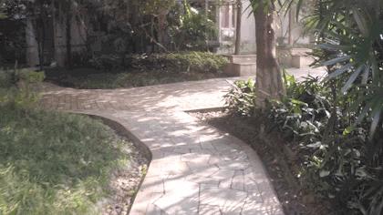 可以一搭四的稳定器就是它