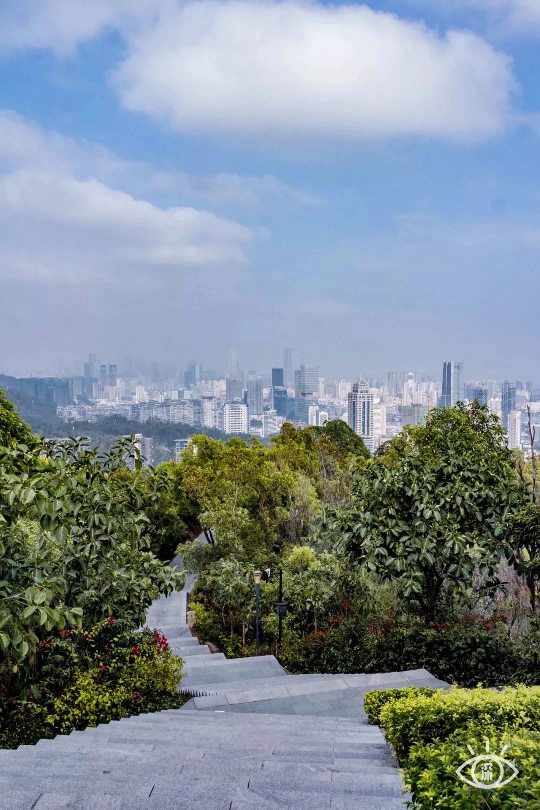 深圳看海去哪里比较好,深圳出地铁就看海的地方是哪里