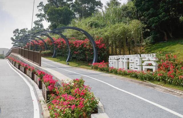 深圳免费公园适合儿童,深圳免费公园哪里最好啊