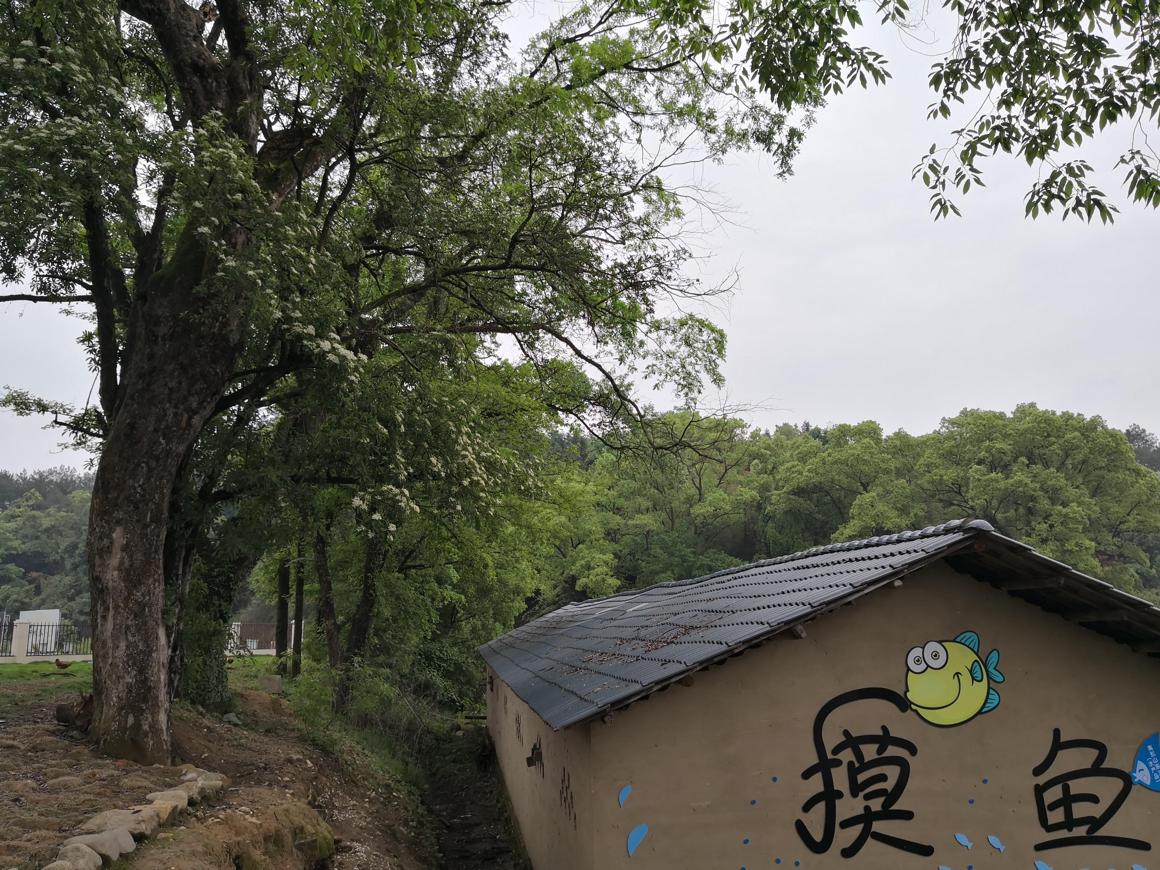 妈妈那边的亲戚称呼大全,山东亲属称呼大全