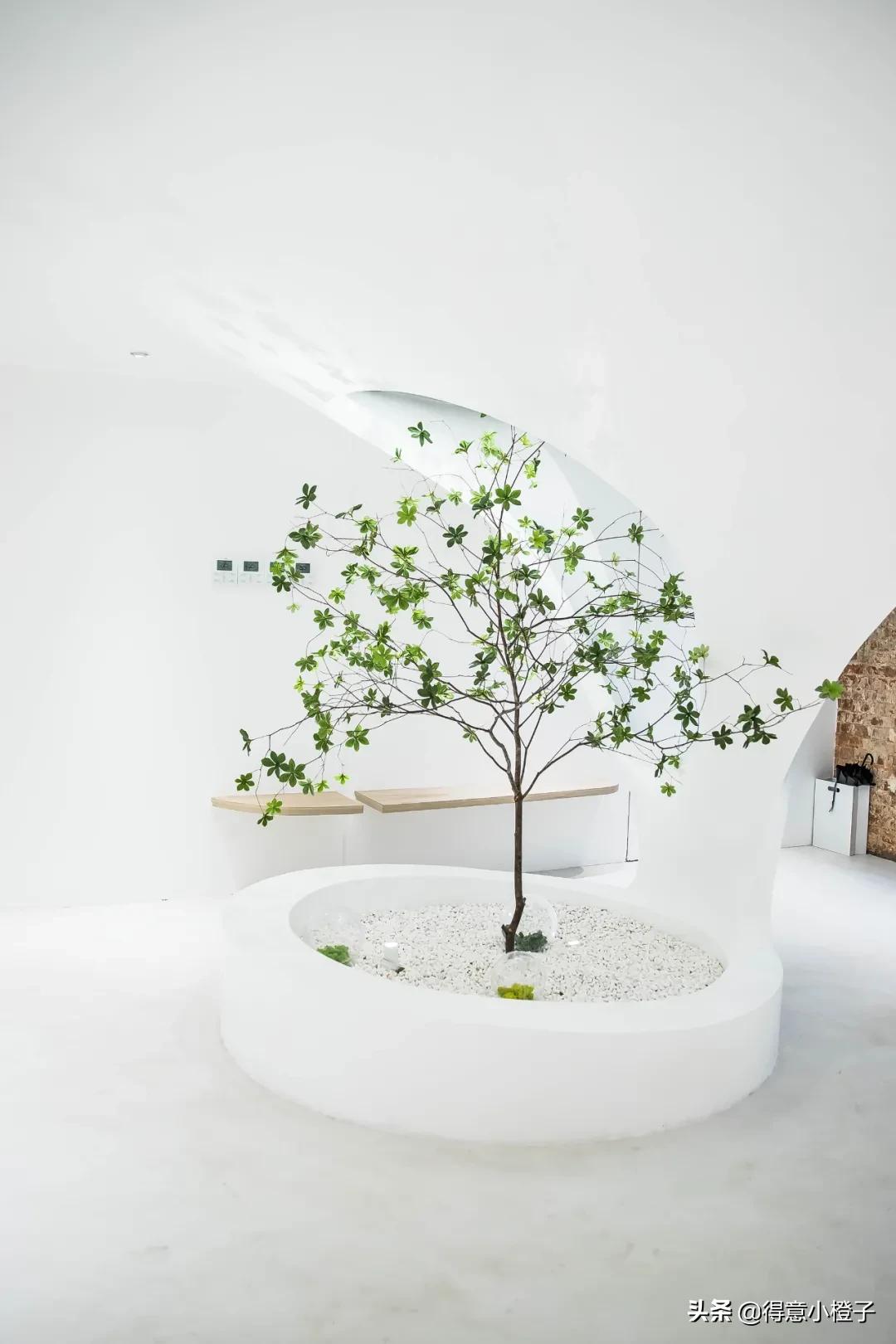 人类高质量店铺,武汉潮牌买手店