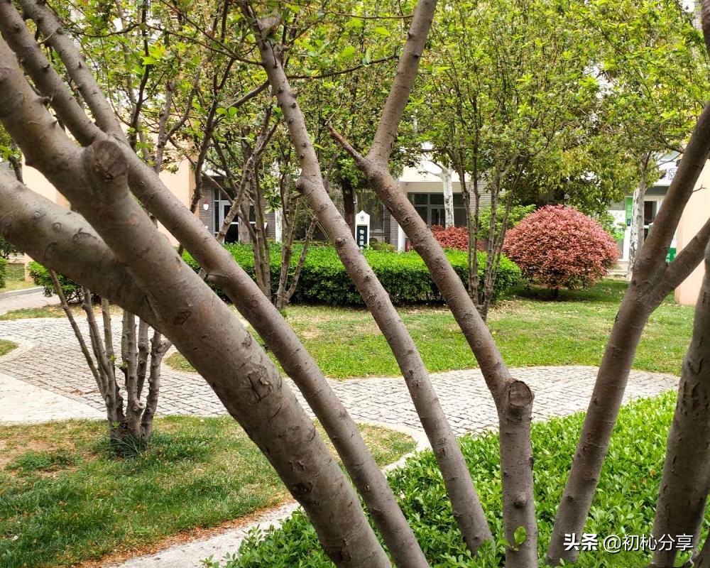 2013年临沂香榭丽舍房价,香榭丽舍临沂房价多少