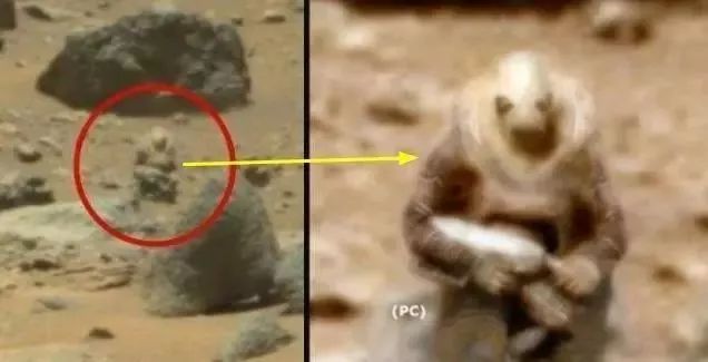 最可能成真的科幻片,科幻片预言2019