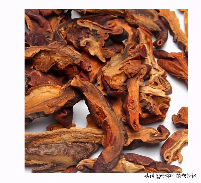 每日一药砂仁,每日一药木瓜