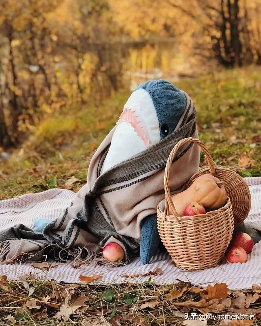 瀹滃鍜宮uji瀹跺眳,瀹滃muji