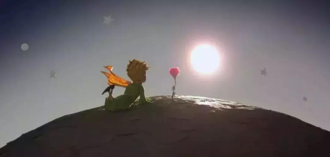 每一朵墨红玫瑰，都带着使命来到这个世界