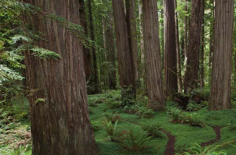 新房子晾多久甲醛会消失呢,冬天装修完房子晾多久去甲醛