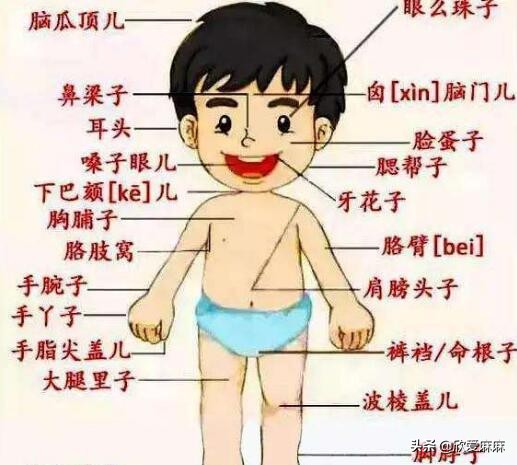 如何正确给孩子进行家庭教育,如何正确给孩子进行性教育