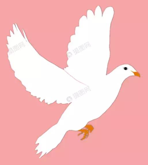 五星红旗我为你自豪原唱歌手,五星红旗我为你自豪升旗献词