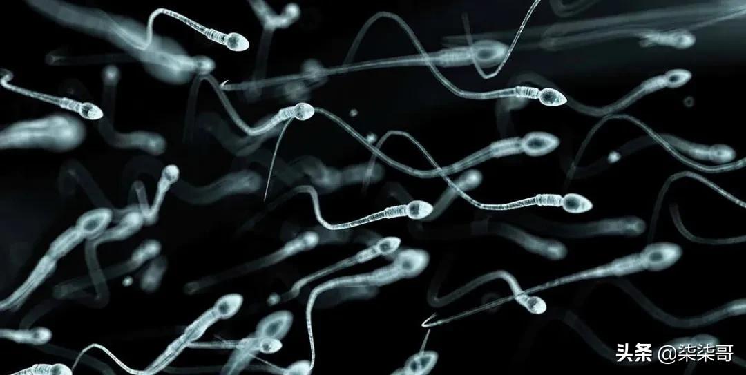 一分钟了解“性病”支原体感染阳性