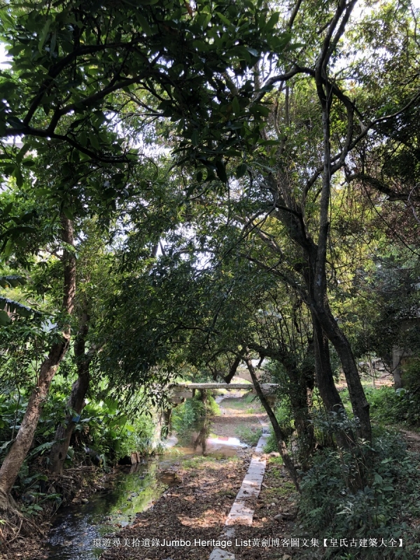 第1632回：金龟村被时光眷顾，坪头岭让田心山围