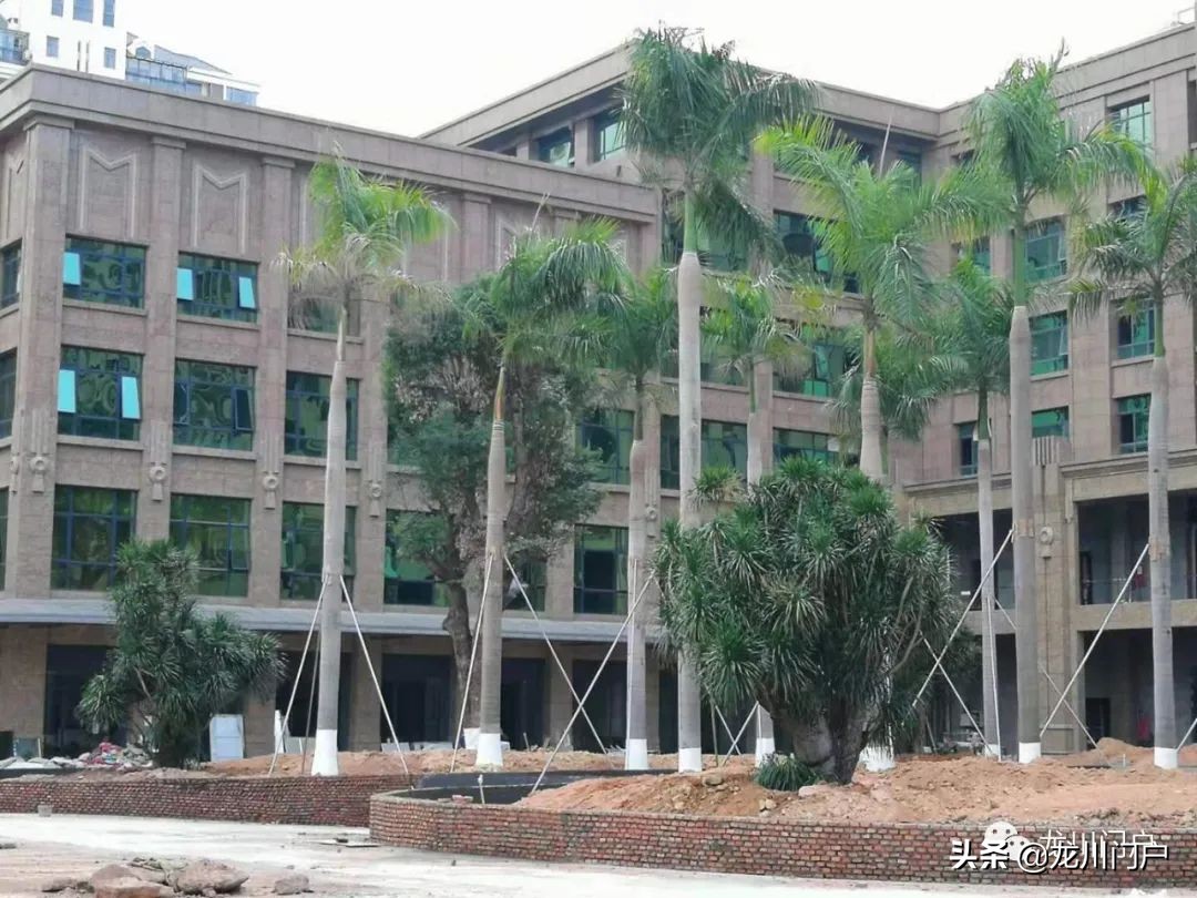 这样的龙川你会喜欢吗？你期待将来是什么样子？