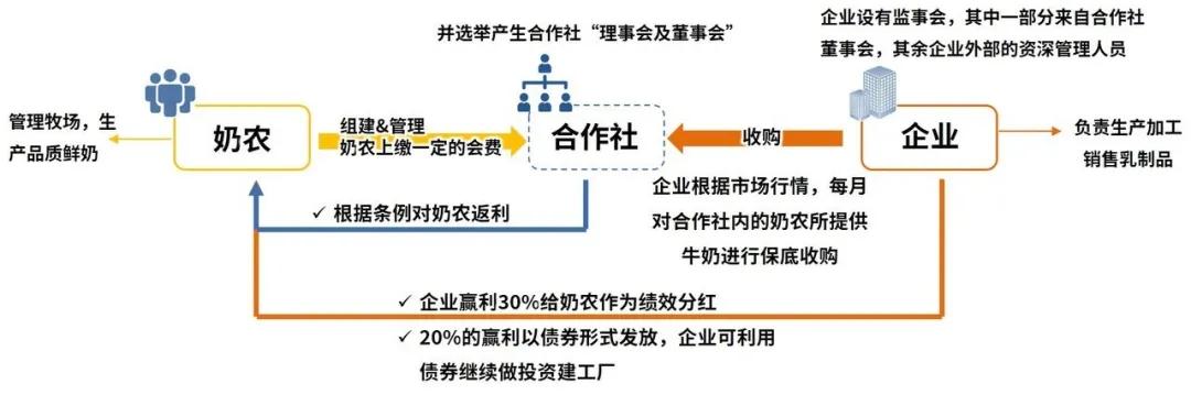 5.16国际牛奶日,每天一杯牛奶强壮中国人