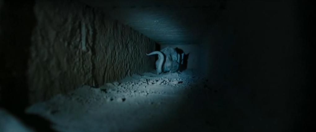 分分钟看完恐怖电影死亡迷局,恐怖电影金字塔