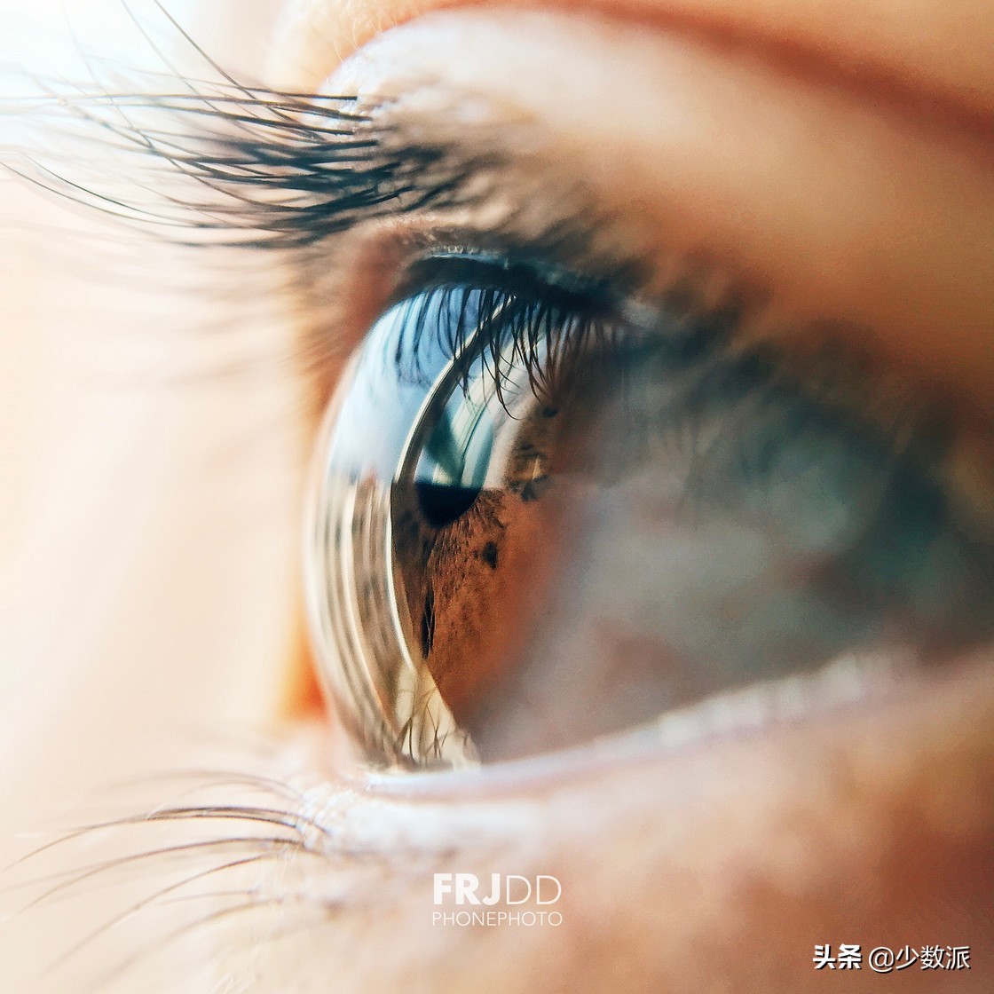 iPad是「无用的玩具」?用了一年,它为我打开了另一个世界