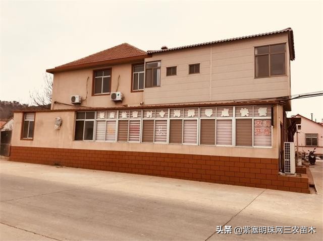 长岛值得去的渔家乐,长岛美丽的海岛