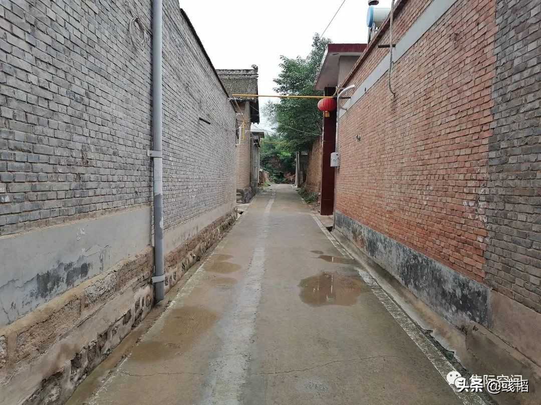 周末回老家的惬意时光,周末回农村的乐趣