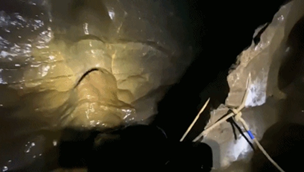 16岁留美高中生回国科考，变身“老鼠人”下悬崖探8000米洞穴