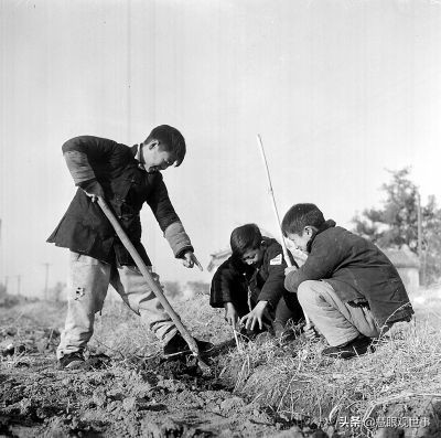 用什么方法消灭鼠疫,1949年察北鼠疫