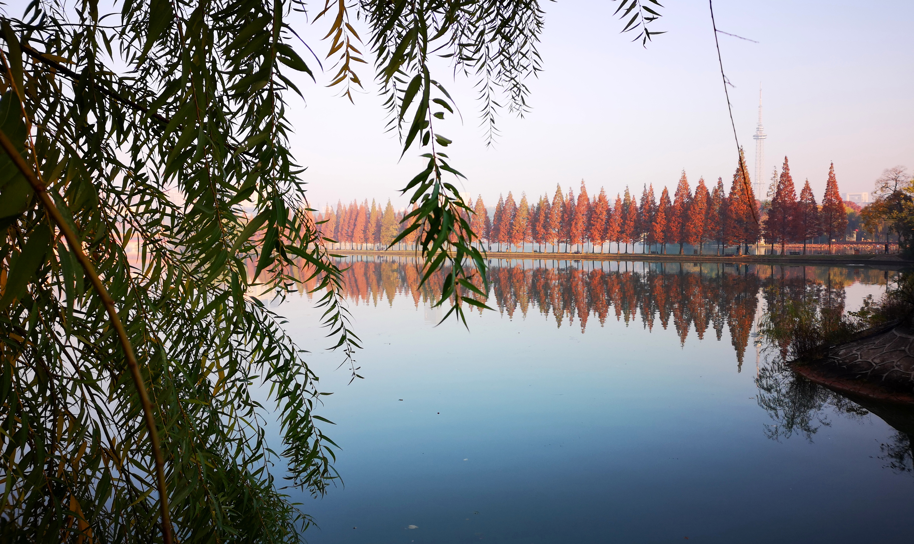 星辰文艺丨王超斌：走过四季，我独爱星城的秋……