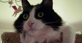 魔女大讲堂,红血丝修复大法