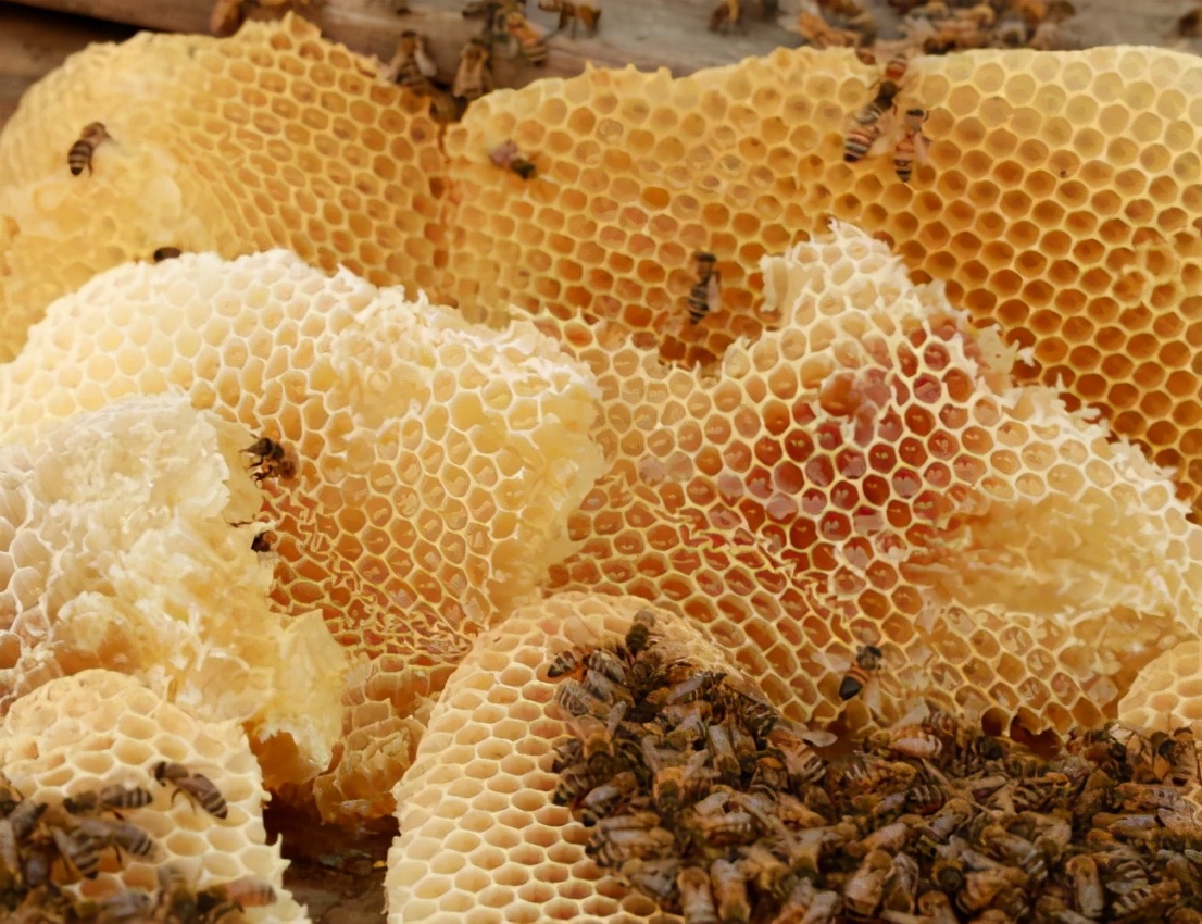 被蜜蜂蛰了怎么处理最简单有效,被蜜蜂蛰了怎么办有效方法