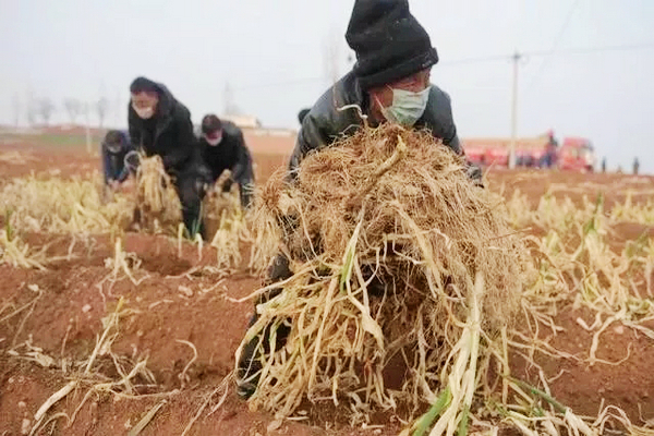 疫情面前熬不下去时就看看他们
