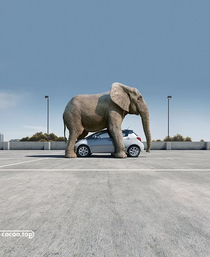 印刷工艺三大要素,印刷工艺细节