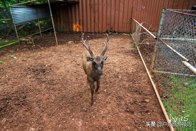 关岛包车自由行,关岛租车