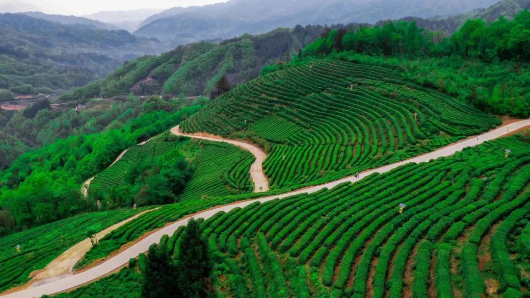 华夏山脉,华夏四大山脉