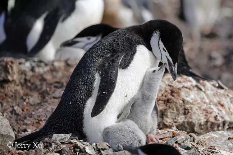 瀹氬埗鍒涙剰鏃呰,鍒涙剰瀹氬埗鏃呰