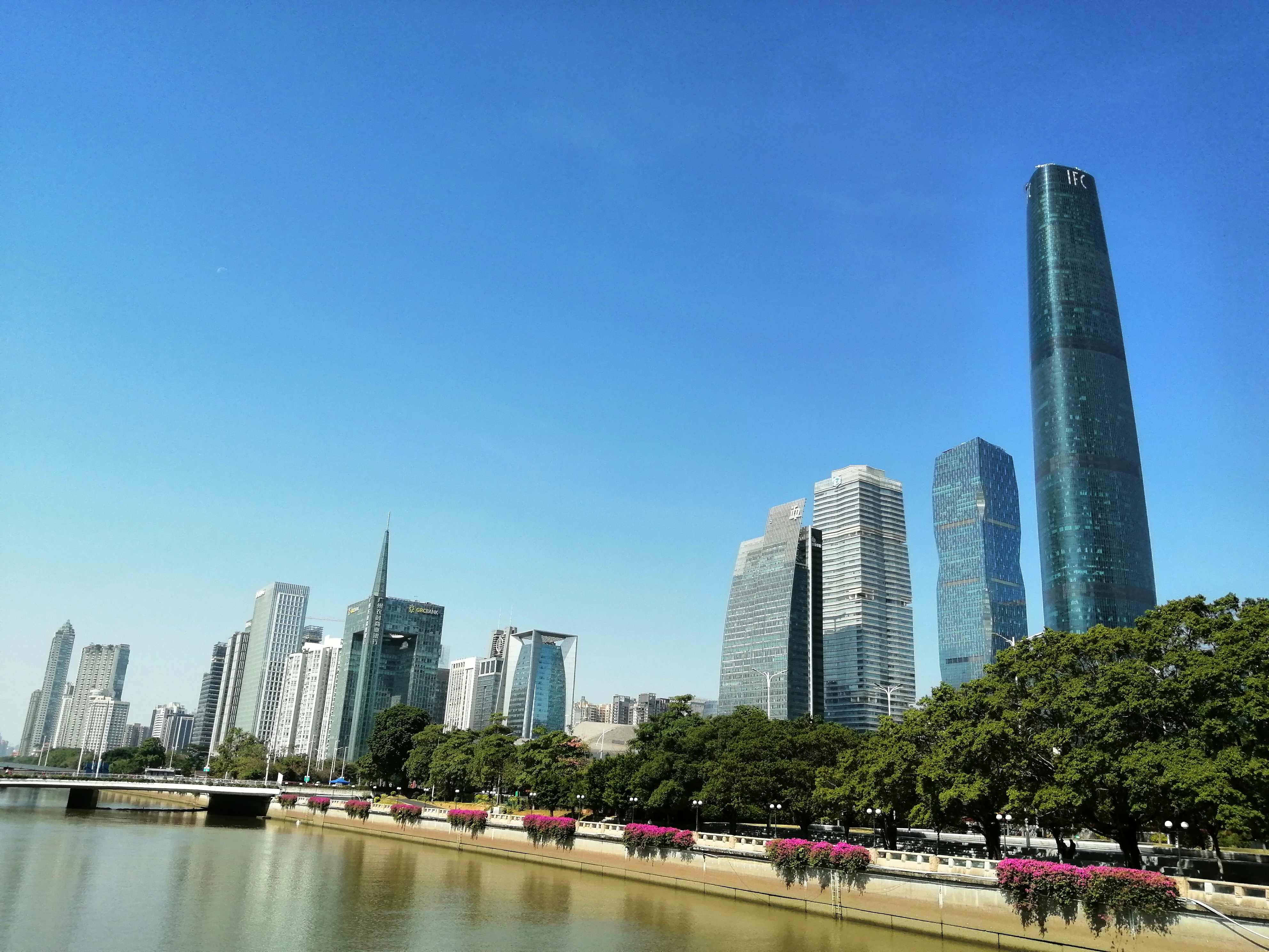 广州海心沙亚运公园广州塔格桑花,游广州海心沙公园