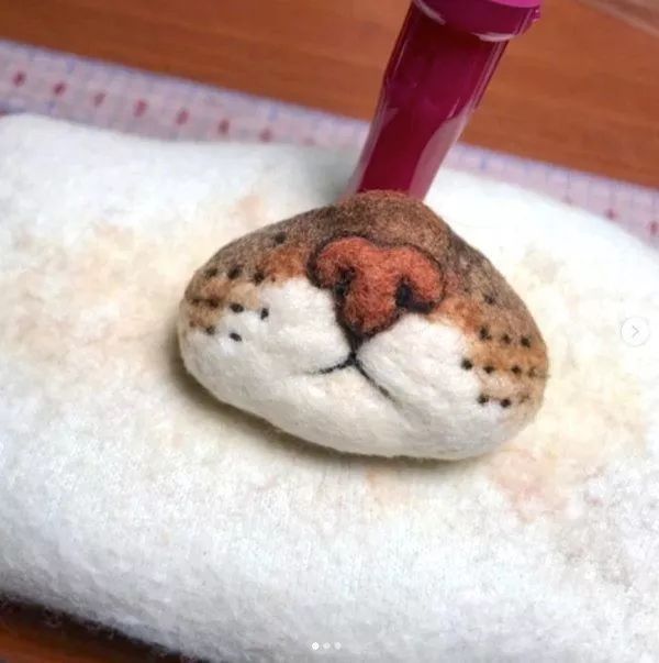 捡到猫胡子会带来好运吗,捡到猫的胡子真的会有好运吗