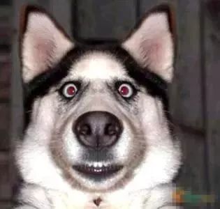 电力设计院到底有多累,电力设计院工作什么样